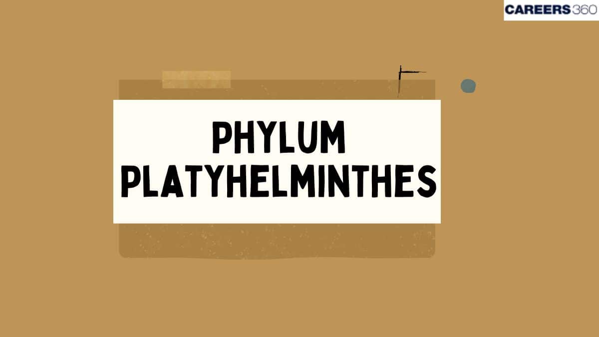 Phylum Platyhelminthes: Characteristics, Examples, Platyhelminthes, Classification, Topics
